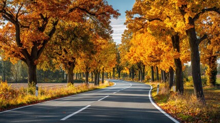 Obraz premium Autumn Road Serenity: Scenic Drive Through Golden Trees in Fall Foliage Landscape