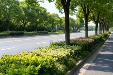 A slightly low-angle shot of a sunny, modern urban road with a foreground of lush, variegated roadside shrubs and a line of trees casting shadows across the asphalt.