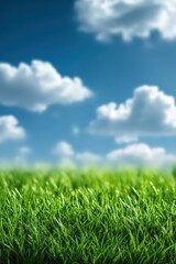 Lush Green Grass Field Under a Clear Blue Sky with White Clouds on Sunny Day Tranquil Nature Scenery with Vibrant Colors and Blurred Background