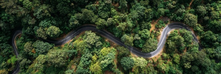 Aerial Scenic Highway Curving Deep Into Tropical Woodland