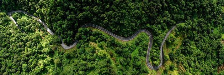 Winding Mountain Road Through Lush Green Forest From Above