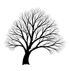 Obraz premium Bare tree branches covered in snow against a white background
