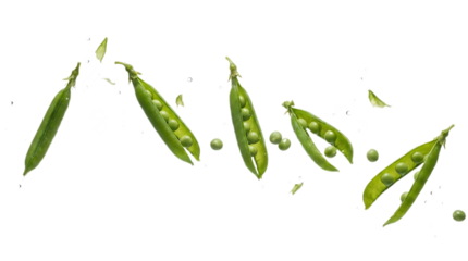 Green pea pods falling and floating in different orientations, demonstrating gravity and freshness on a transparent background.