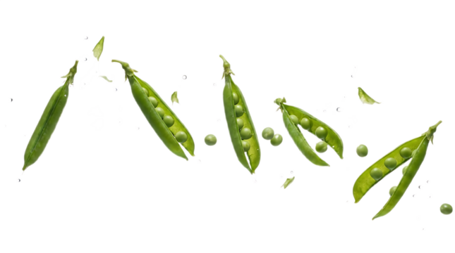 Green pea pods falling and floating in different orientations, demonstrating gravity and freshness on a transparent background.