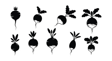 A collection of black and white radish illustrations with leafy tops