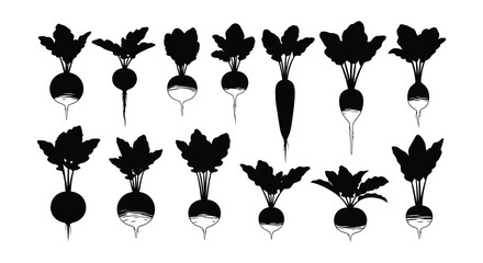 A collection of black and white radish illustrations with leafy tops