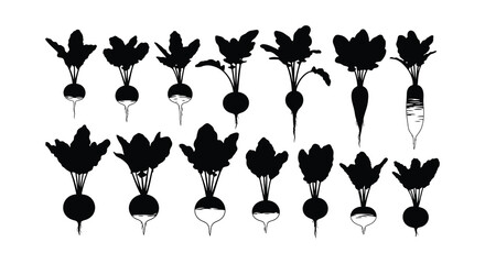 A collection of black and white radish illustrations with leafy tops