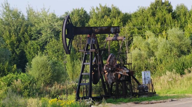 Oil pumpjack nods beside trees while grass sways gently. Steel beam dips then rises and mechanism pumps steadily under warm summer sky