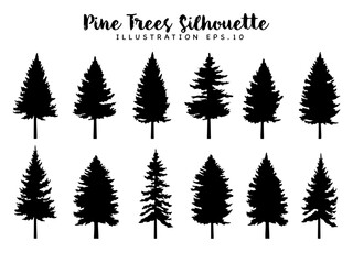 Silhouette Pine Trees Conifer Forest Collection.