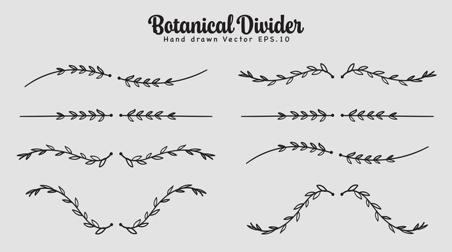 Vine line divider hand drawn for text layout separator decoration vector illustration
