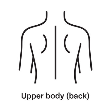 Simple line drawing depicts the human upper body from a rear view showing shoulders and arms