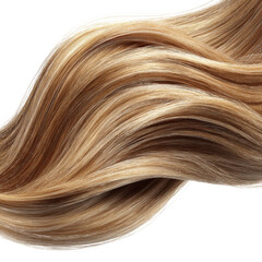 Fototapeta premium A single, isolated strand of human hair, one piece only, not a bundle. Ultra-realistic 3D macro rendering. Fine, silky texture with natural shine, smooth cuticle detail, slight natural curve.