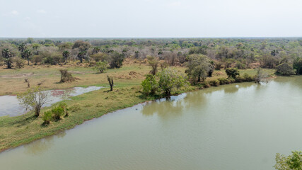 Close-up portrait of a giraffe in a wildlife sanctuary, highlighting its gentle expression and natural habitat.