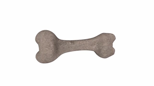 Gray Dog Bone Toy on White Background