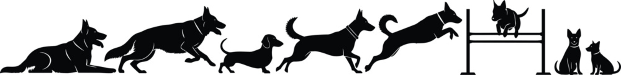Dog agility training silhouettes showing different breeds running, jumping, and sitting, black vector illustration of pet obedience and exercise