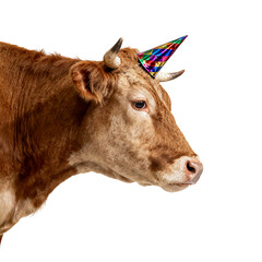 cow with horns wearing party hat