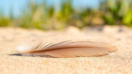 A delicate feather resting on sandy beach terrain.