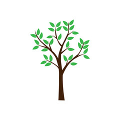 The Majestic Vector Tree