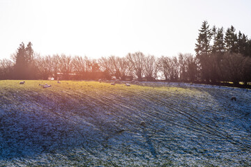 autumn in the park, sunshine light and snow on the hill