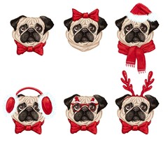 set of funny  Christmass dogs