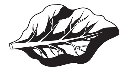 Monochrome leaf illustration with detailed venation and bold silhouette.
