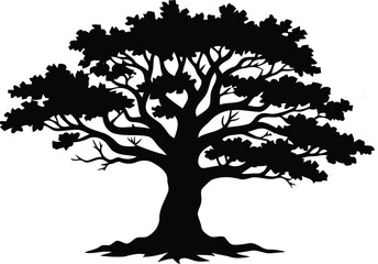 Detailed silhouette of a robust tree with extensive branches