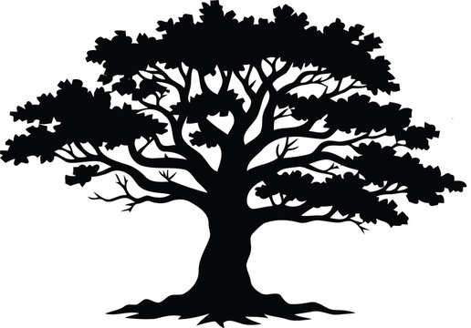 Detailed silhouette of a robust tree with extensive branches