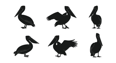 Silhouettes of pelicans in various poses a monochromatic wildlife illustration