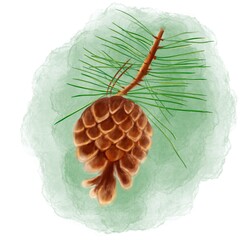 pine cones