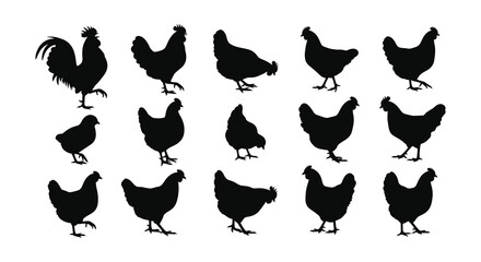 Silhouettes of a rooster and several hens in a grid arrangement