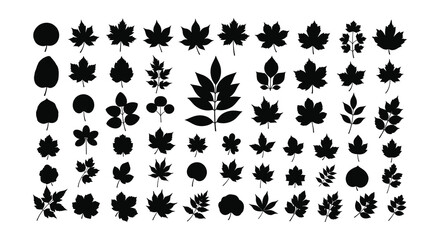 A collection of various black silhouette leaf shapes arranged in a grid pattern