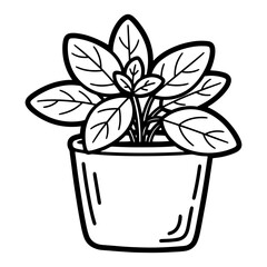 indoor potted plant with leaves simple botanical line art vector