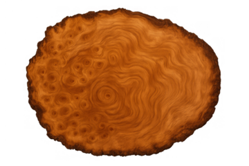 Wood burl cross-section displaying unique organic grain pattern, natural brown texture, and a transparent background
