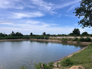 Fototapeta premium lake in the park