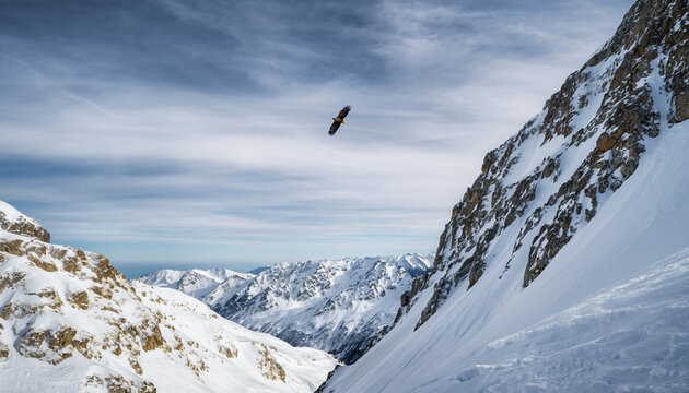 A powerful and graceful airborne leap in the wild, pristine winter mountains, soaring high above the snowy peaks under a vast sky, embodying freedom and adventure
