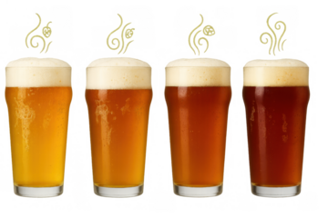 Four craft beer glasses standing in a row, featuring different styles and colors from pale golden to rich dark brown