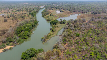 Close-up portrait of a giraffe in a wildlife sanctuary, highlighting its gentle expression and natural habitat.