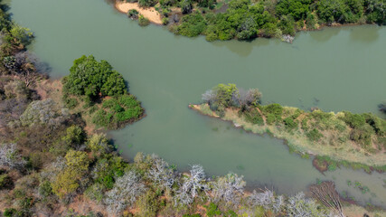 Close-up portrait of a giraffe in a wildlife sanctuary, highlighting its gentle expression and natural habitat.