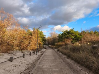 Sandy coastal path bordered by a rope fence, surrounded by autumn shrubs and soft dune vegetation under bright sky light — serene seaside landscape.