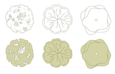 Top view trees for architectural plans and landscape design. Minimal vector illustration for urban planning, site plans, and architectural entourage.