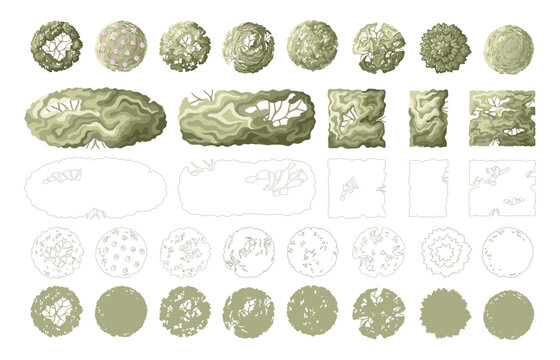 Landscape design elements: bushes, trees, shrubs, and hedges. Minimal vector illustration for urban planning, site plans, and architectural entourage.