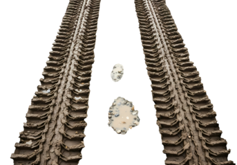 Muddy tire tracks lead the way through the unknown