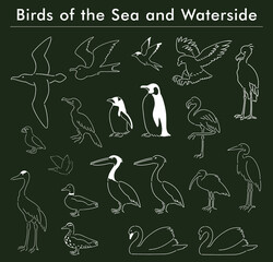 海と水辺の鳥の手描きイラストセット