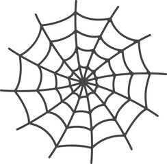 Obraz premium spider web