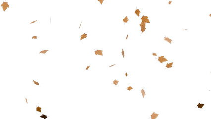 3D Render a bunch of leaves flying in the air
