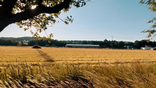 German Farm