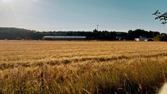 German Farm