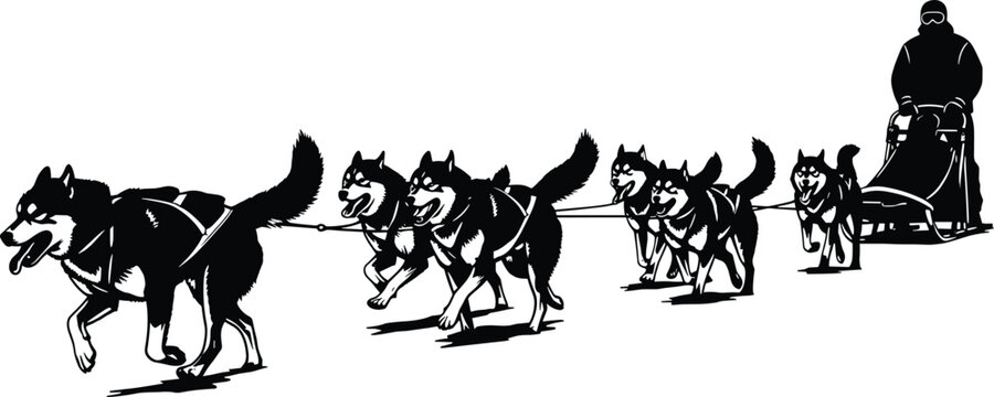 Black and white illustration of a dog sled team pulling a sled, dog sled, dogs, sled, husky, team, pulling, running, winter, snow, arctic, cold, transportation, journey, race, travel, outdoor, activit