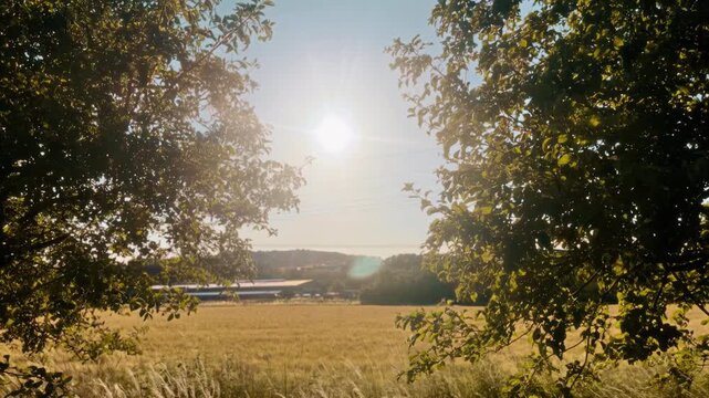 German Farm