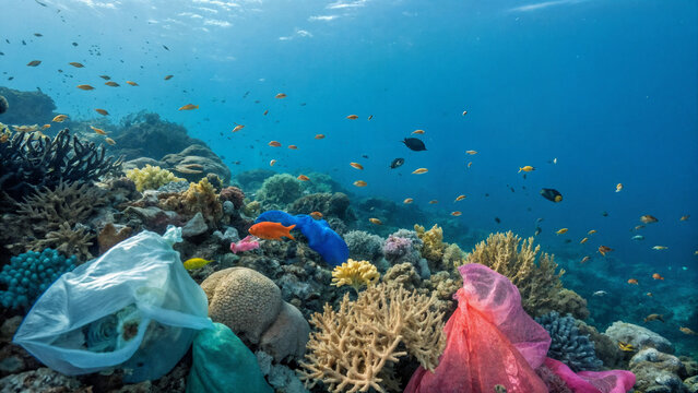 Ocean pollution. Coral reef covered in trash